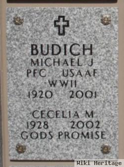 Michael J Budich