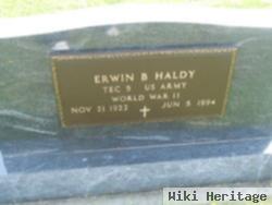 Erwin B Haldy