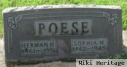 Sophia M Dieckmann Poese