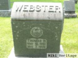 Thomas H Webster