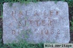 Hal Riley Sitter