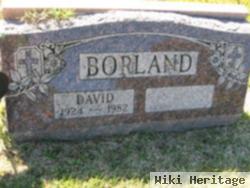 David Francis Borland