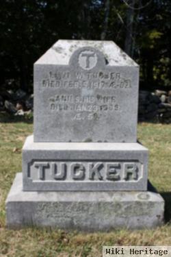 Ann S Tucker