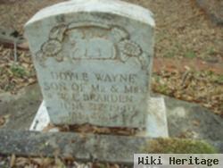 Doyle Wayne Bearden