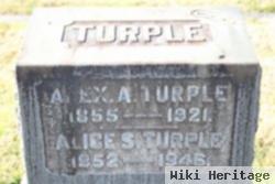 Alice Susan Welch Turple