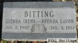 Glenda Irene Bitting