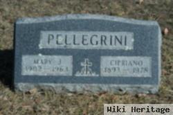 Cipriano "mike" Pellegrini