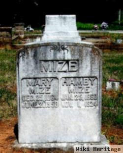 Mary Elizabeth Kimsey Mize