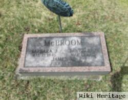 Barbara J. Mcbroom