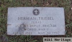 Herman Triebel