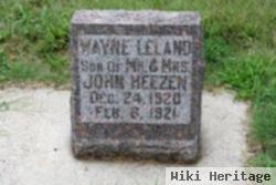 Vayne Leland Heezen