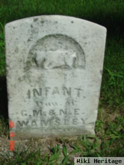 Infant Wamsley