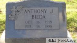 Anthony J Bieda