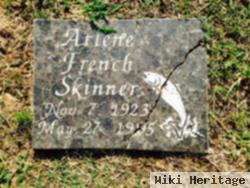 Arlene French Skinner