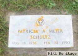 Patricia Ann Hanson Schultz