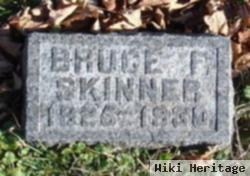 Bruce F Skinner