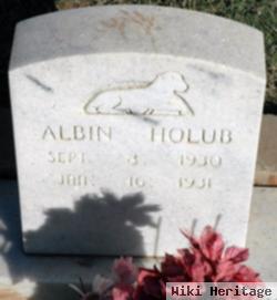 Albin Holub