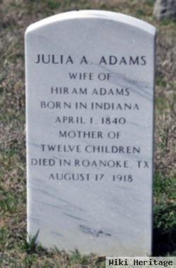 Julia Ann Johns Adams