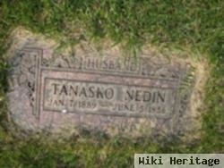 Tanasko Nedin