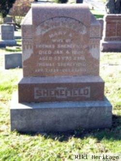 Thomas Shenefield