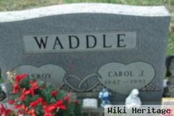 Carol Jean Waddle