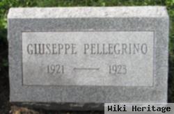 Guiseppe Pellegrino