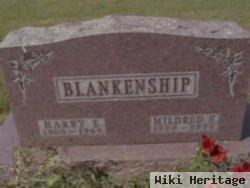 Harry E Blankenship