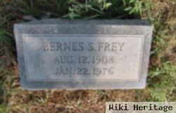 Bernes S. Frey