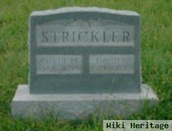 David Harrison Strickler