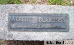 Albert Sidney Blakeney