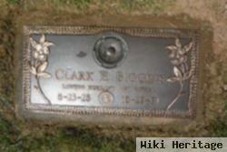 Clark E. Biggins