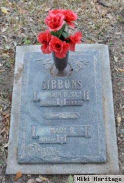 John H. Gibbons, Sr