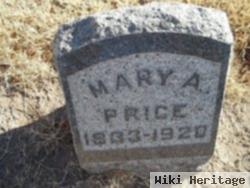 Mary Ann Case Price