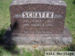 Albert Schafer