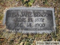 Elisa Jane Benson