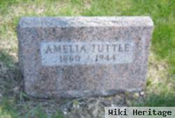 Amelia Tuttle