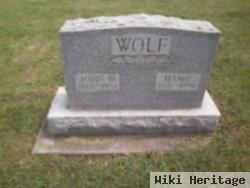 John Henry Wolf