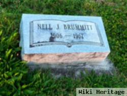 Neil J Brummitt