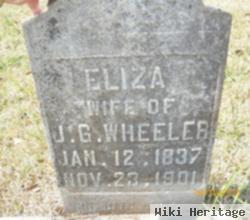 Eliza Wheeler