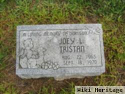 Jose Luis Tristan