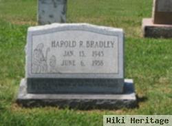 Harold R. Bradley