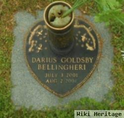 Darius Goldsby Bellingheri