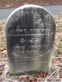 Jane M. Varner Brewer