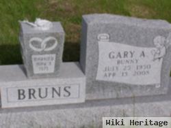 Gary Allen Bruns