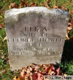 Eliza Ann Wright Hower