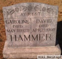 David Hammer