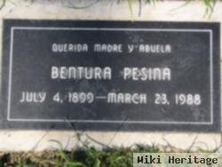 Bentura Lopez Pesina