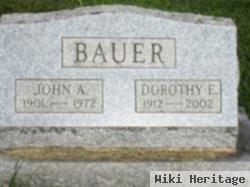 John A Bauer