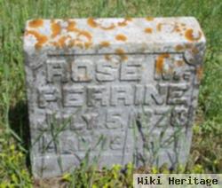 Rose M. Perrine