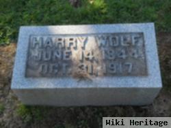 Harry Wolf